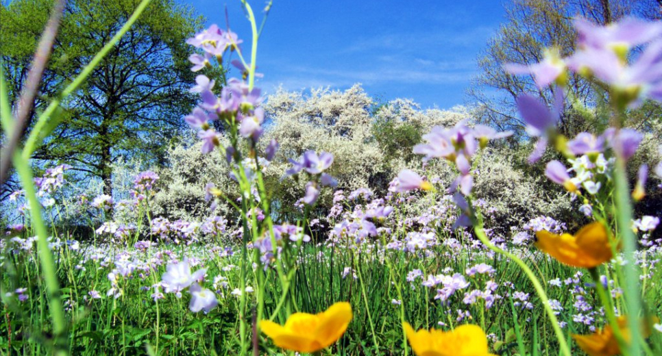 Frühling