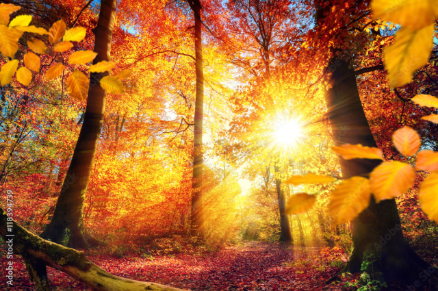 Herbst